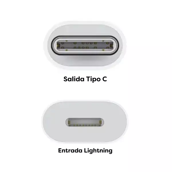 Adaptador Lightning Usb C Usb C Macho Lightning Hembra 60w P